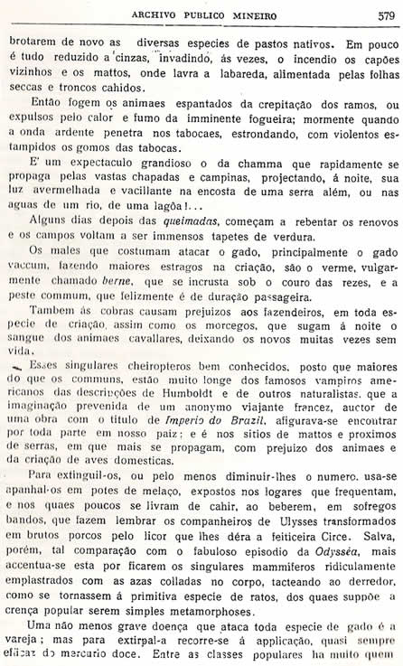 Chorografia Mineira - D�cima nova parte